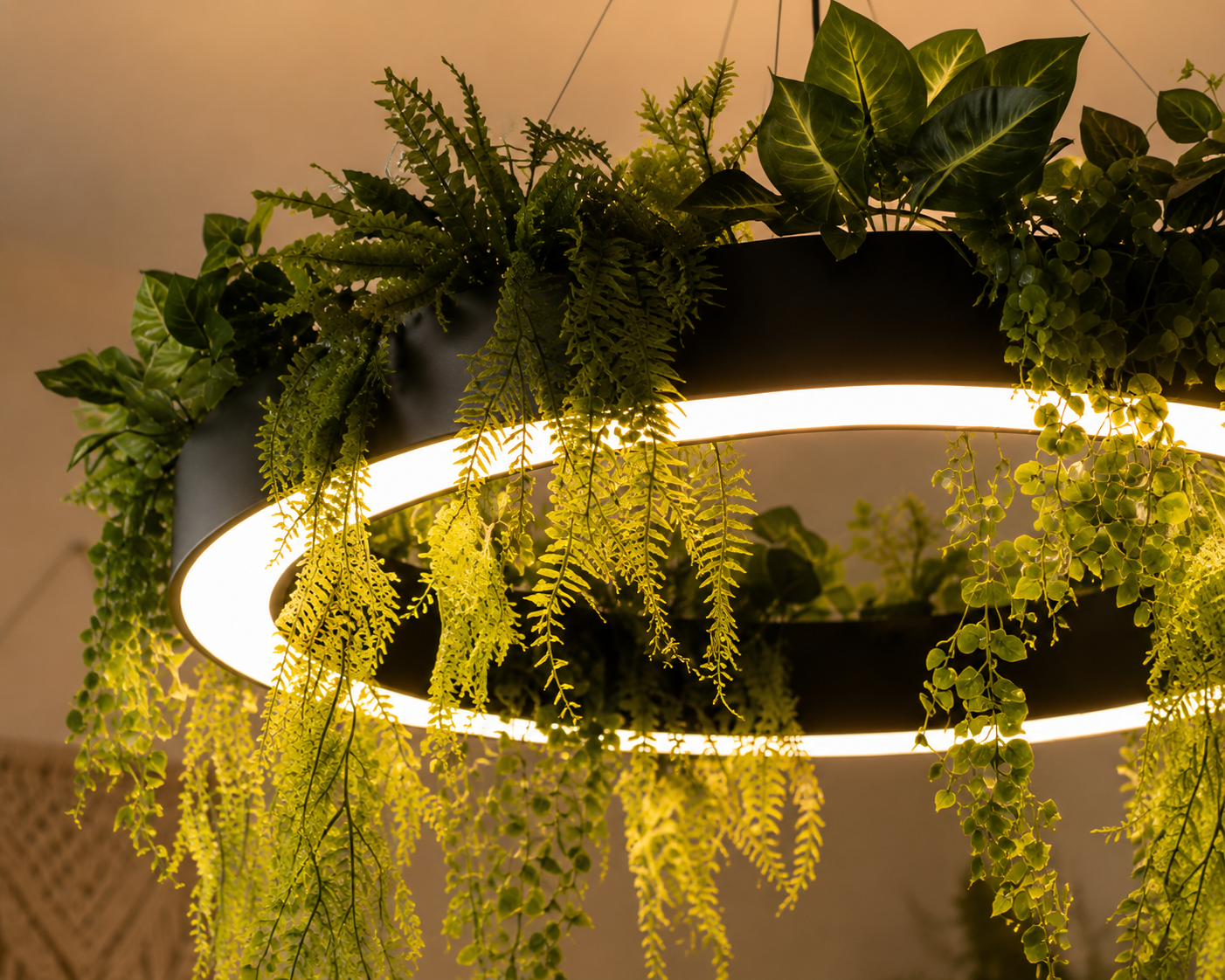Close-up of warm LED illumination beneath the botanical halo ring and trailing greenery.